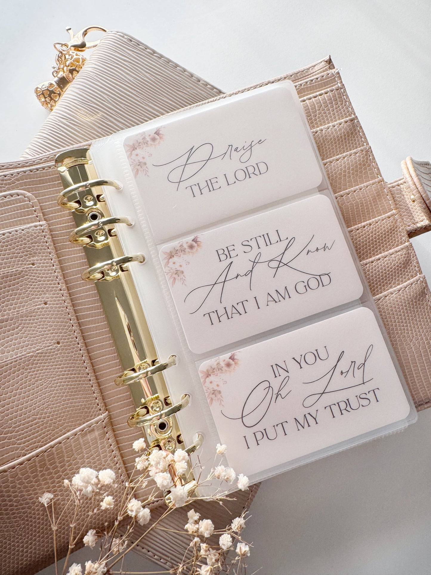 SCRIPTURE COMPLETE PACKAGE - BEIGE