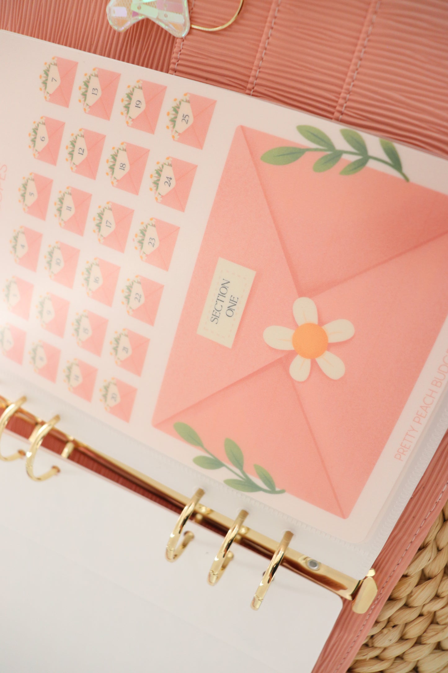 100 ENVELOPES SAVING CHALLENGE PEACHY A5