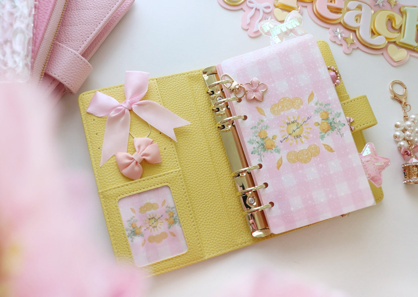 A6 BINDER - CANDY COLLECTION