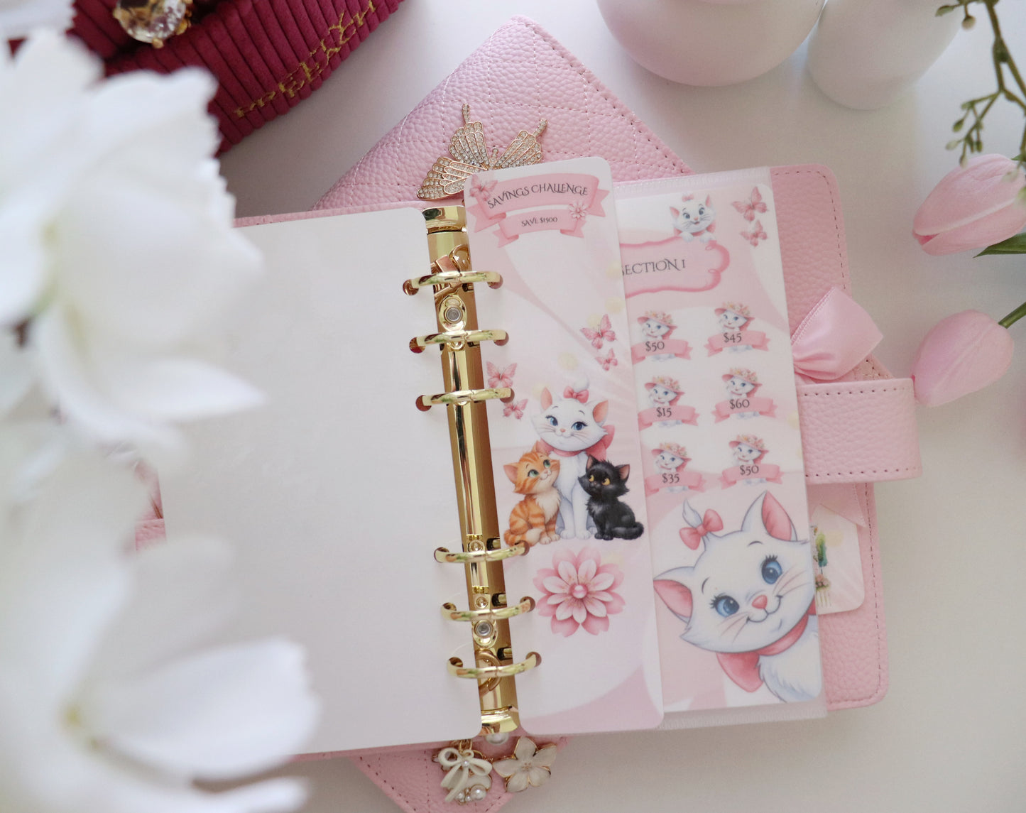ARISTOCATS SAVINGS CHALLENGE