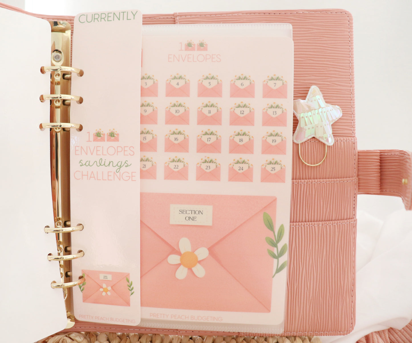 100 ENVELOPES SAVING CHALLENGE PEACHY A5