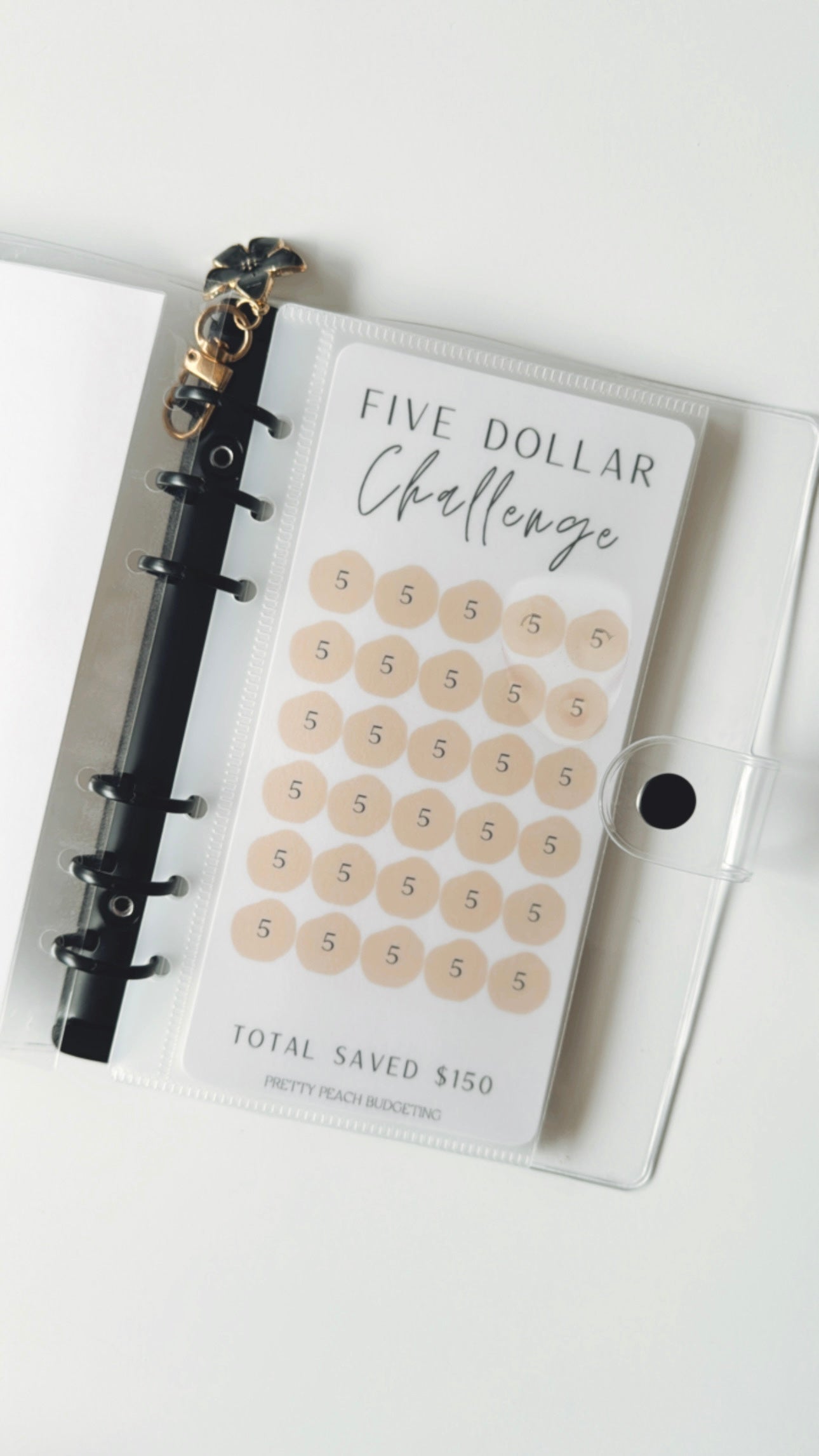 MINI SAVINGS CHALLENGE- A6