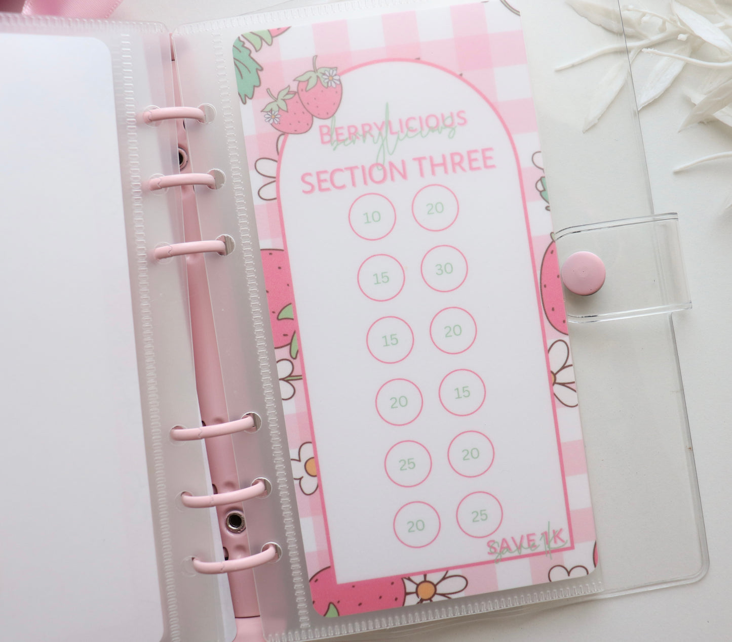 BERRYLICIOUS SAVE 1K SAVINGS CHALLENGE